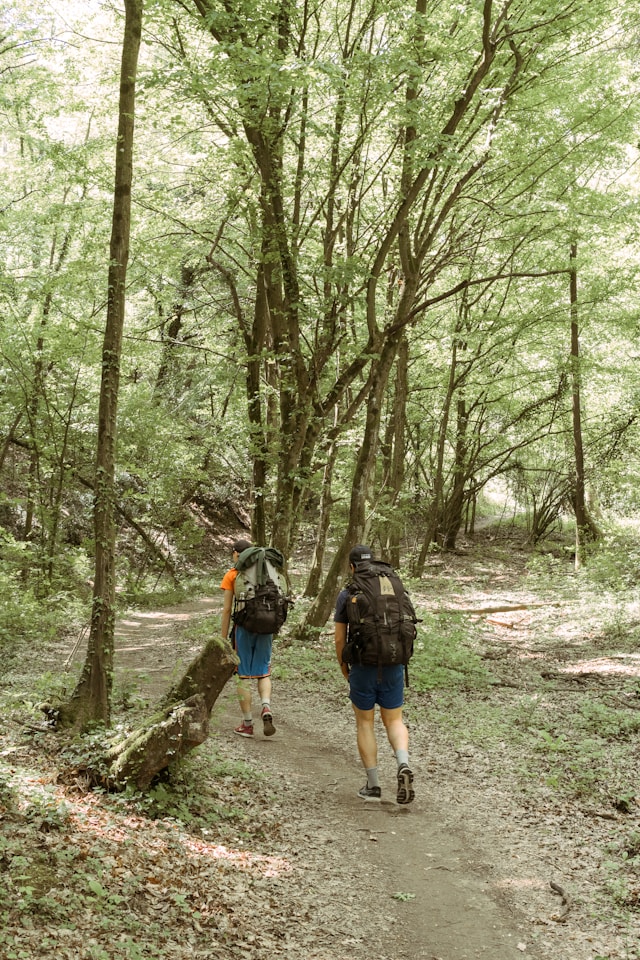 Cesta s Vallensatoria